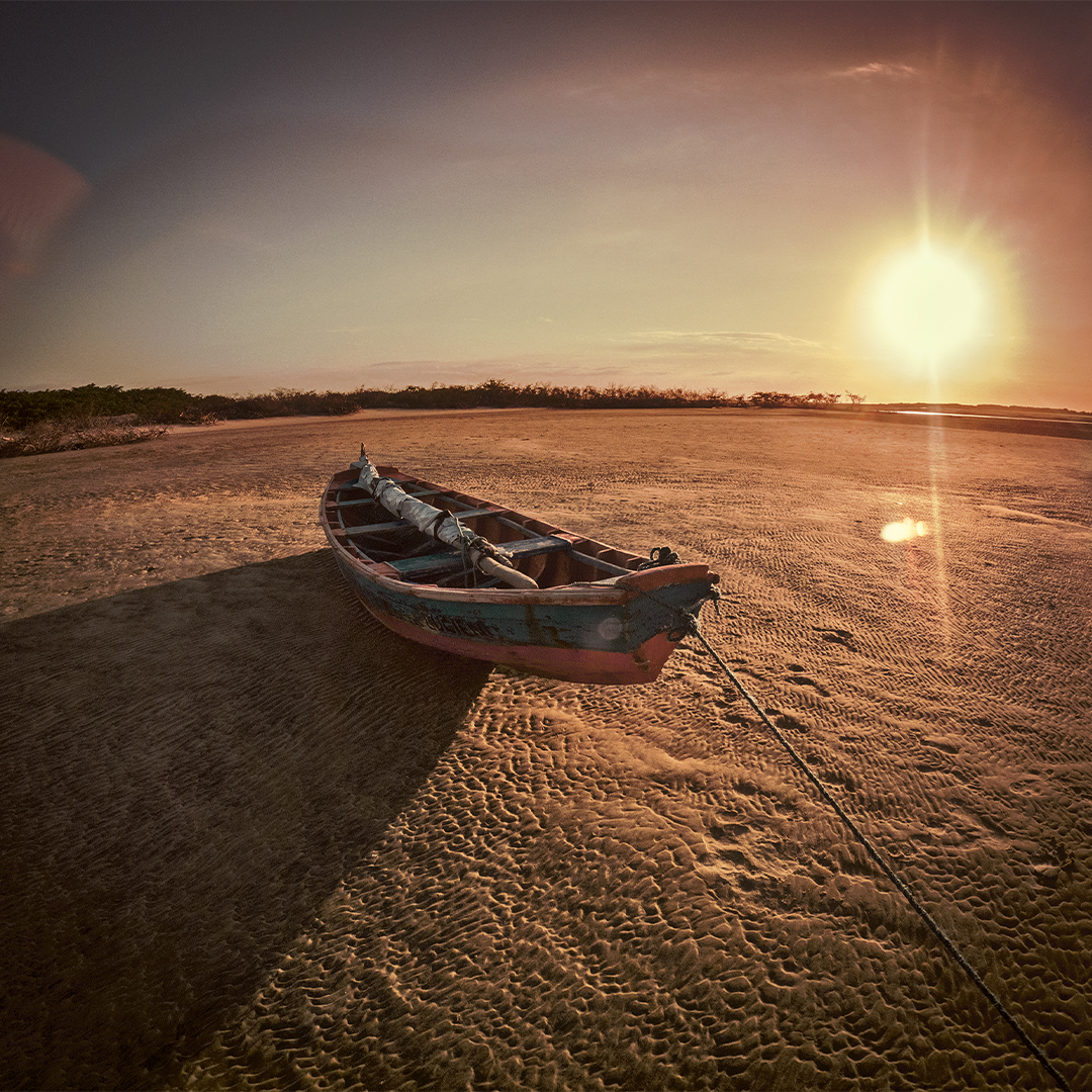 copyright laurent buffo