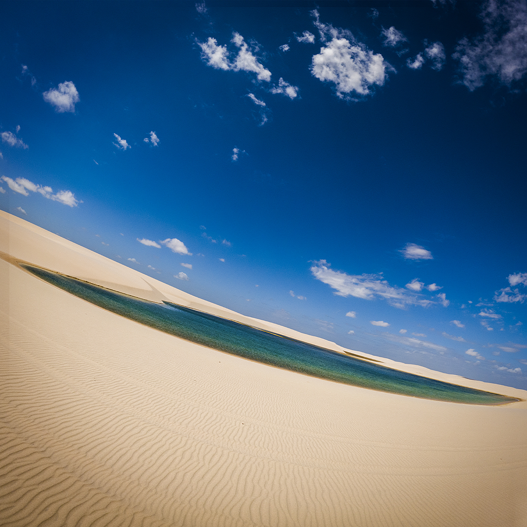 copyright laurent buffo