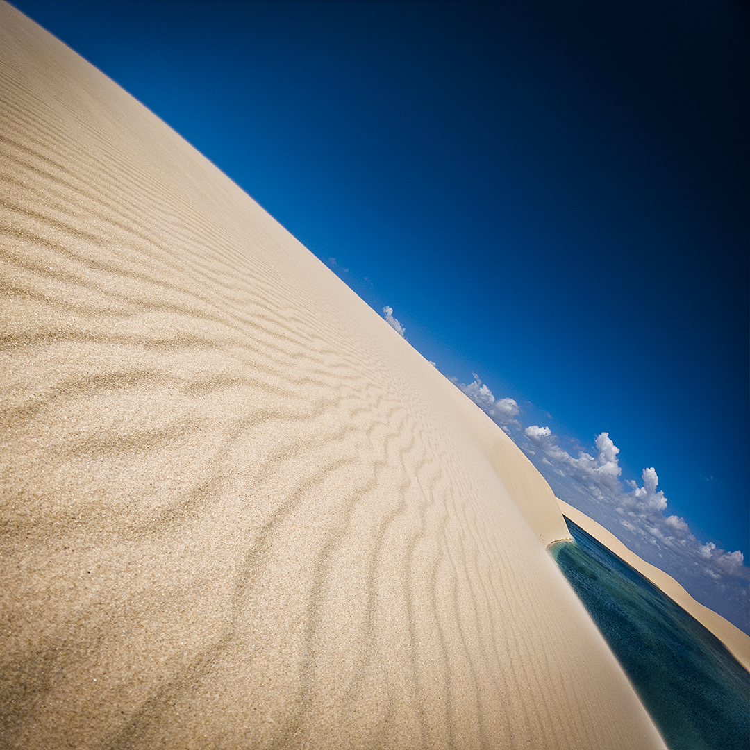 copyright laurent buffo