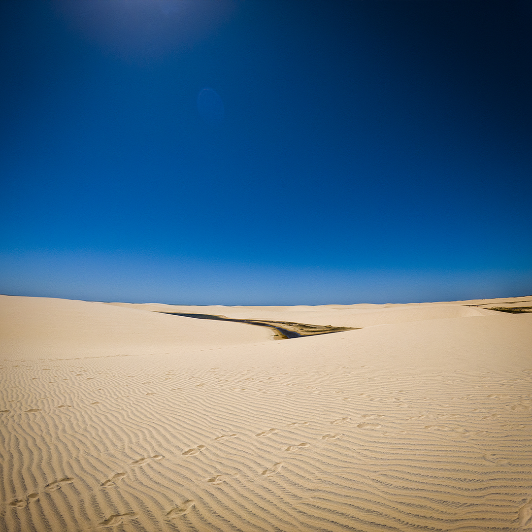 copyright laurent buffo